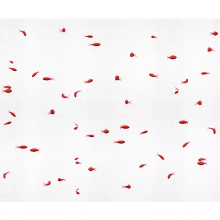 LondonArt / Exclusive Wallpaper