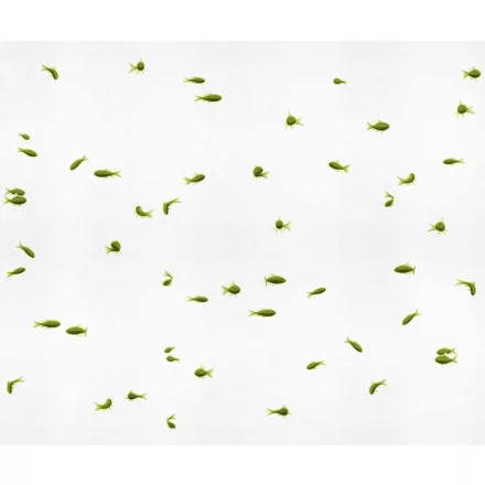 LondonArt / Exclusive Wallpaper