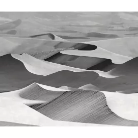 LondonArt / Exclusive Wallpaper