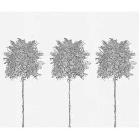 LondonArt / Exclusive Wallpaper