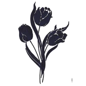 Komar / Colorful poszter