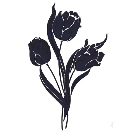 Komar / Colorful poszter