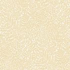 Boras / Vårt Arkiv tapéta