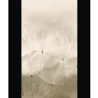 Grandeco / Orom 2 tapéta