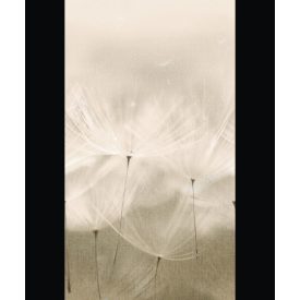 Grandeco / Orom 2 tapéta