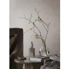 Boras / Treasured tapéta