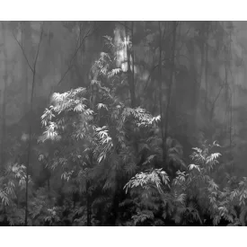 LondonArt / Exclusive Wallpaper