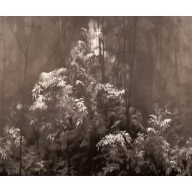 LondonArt / Exclusive Wallpaper