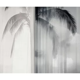 LondonArt / Exclusive Wallpaper