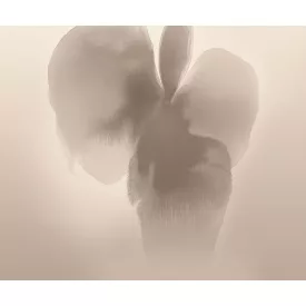 LondonArt / Exclusive Wallpaper