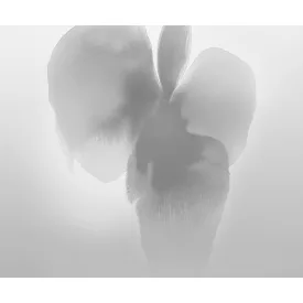 LondonArt / Exclusive Wallpaper