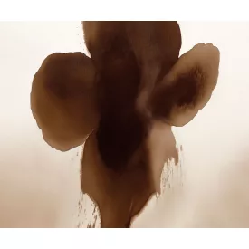 LondonArt / Exclusive Wallpaper