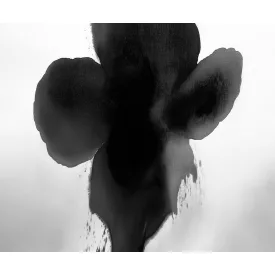 LondonArt / Exclusive Wallpaper