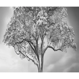 LondonArt / Exclusive Wallpaper