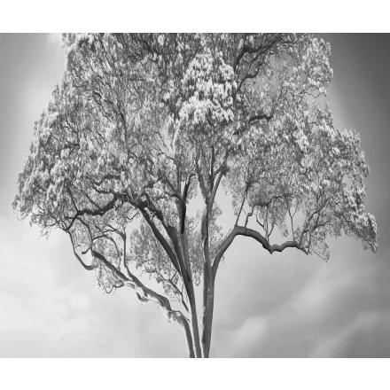 LondonArt / Exclusive Wallpaper