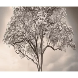 LondonArt / Exclusive Wallpaper