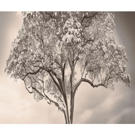 LondonArt / Exclusive Wallpaper