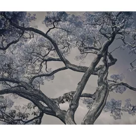 LondonArt / Exclusive Wallpaper