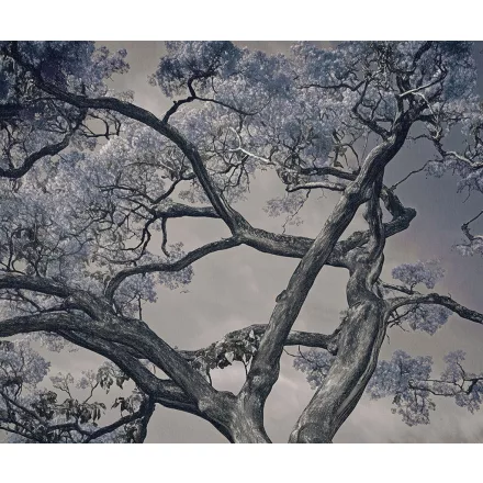 LondonArt / Exclusive Wallpaper