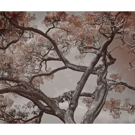 LondonArt / Exclusive Wallpaper