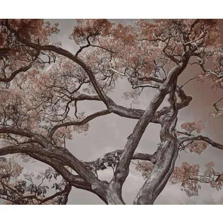 LondonArt / Exclusive Wallpaper