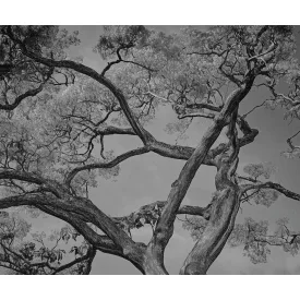 LondonArt / Exclusive Wallpaper