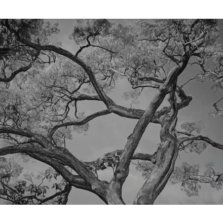 LondonArt / Exclusive Wallpaper