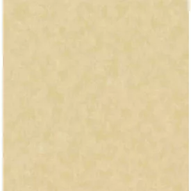 Behang / Morris&Mila tapéta