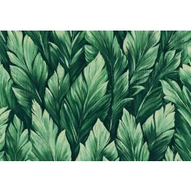 Behang / Morris&Mila tapéta