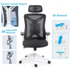 Office chair manager Andrew pakoworld mesh black color 65x61x125cm