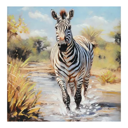 Pakketo / Kiegészítő