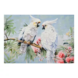 Pakketo / Kiegészítő