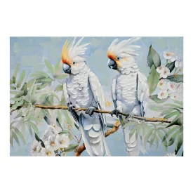 Pakketo / Kiegészítő