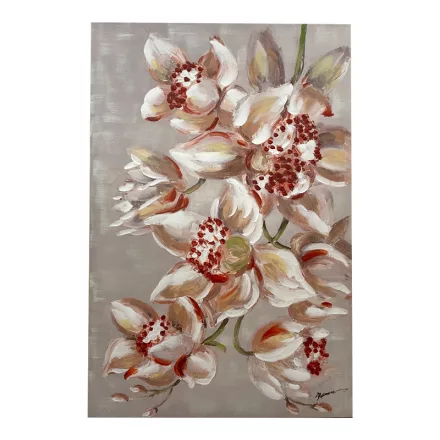 Pakketo / Kiegészítő