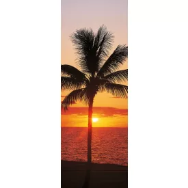 Komar / Colorful poszter