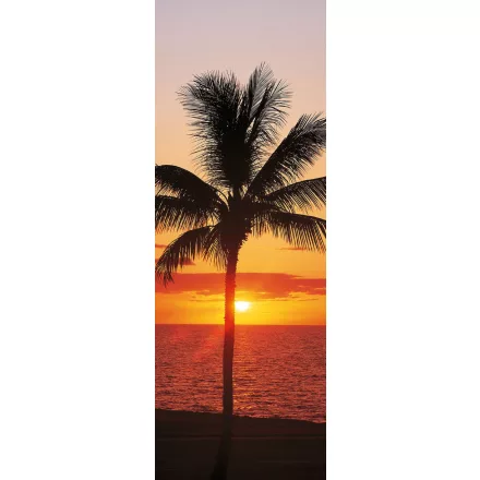 Komar / Colorful poszter