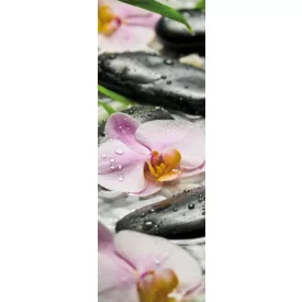 Komar / Colorful poszter