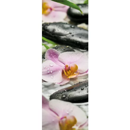 Komar / Colorful poszter