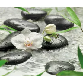 Komar / Colorful poszter