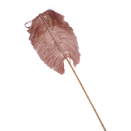 Pakketo / Kiegészítő