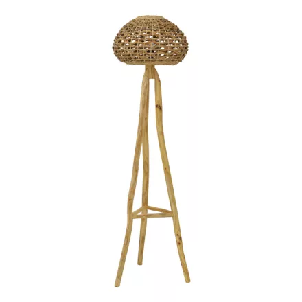 Pakketo / Kiegészítő