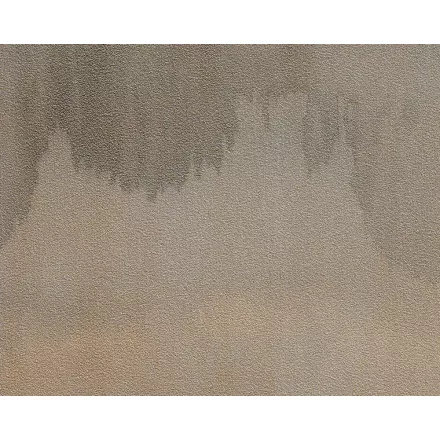 Tapéta / Lentex / Rising Tide