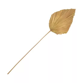 Pakketo / Kiegészítő