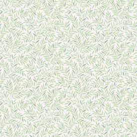 Boras / Borosan EasyUp 20