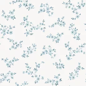 Boras / Borosan EasyUp 20