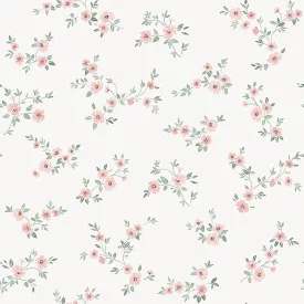 Boras / Borosan EasyUp 20