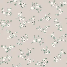 Boras / Borosan EasyUp 20