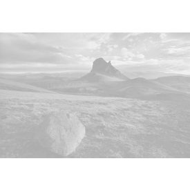 Komar / Into Illusions Edition 2 poszter