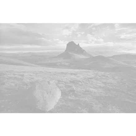 Komar / Into Illusions Edition 2 poszter