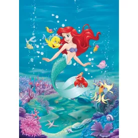 Komar / Into Illusions Edition 2 poszter